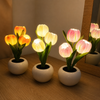 Maison Lucente™ – Lampada Tulipano