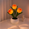 Maison Lucente™ – Lampada Tulipano